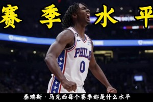 泰瑞斯·马克西每个赛季都是什么